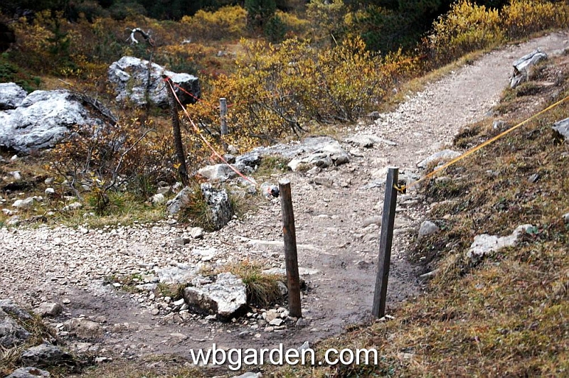 wbgarden alps 91.JPG